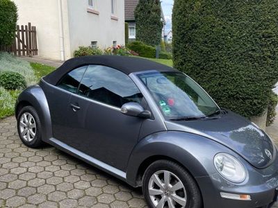 VW Beetle