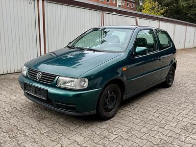 VW Polo