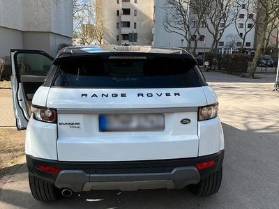 Gebraucht Land Rover Range Rover evoque 150 PS (110 kW) 2014 Weiß SUV