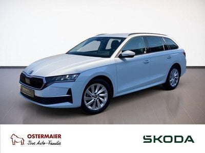 Gebraucht Skoda Octavia Ambiente 150 PS (110 kW) 2025 Moonweiss Kombi