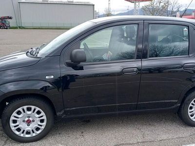 gebraucht Fiat Panda 