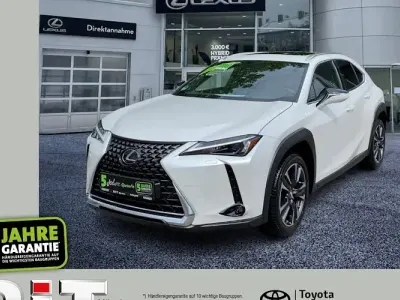 Gebraucht Lexus UX 250h Executive Line 184 PS (135 kW) 2022 Weiß SUV
