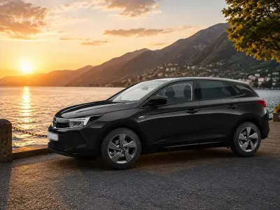 Usata Opel Grandland X