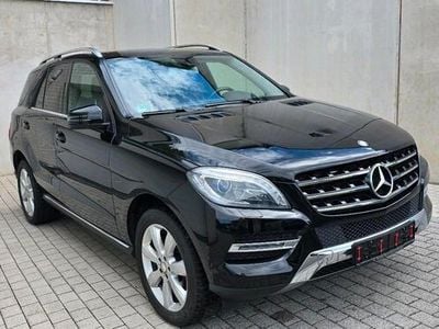 Mercedes ML250