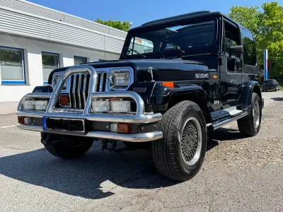 Gebraucht Jeep Wrangler 177 PS (130 kW) 1994 Schwarz SUV