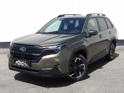 Gebraucht Subaru Forester