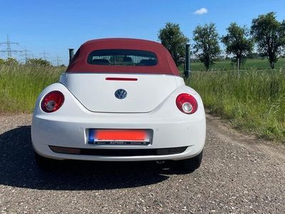 VW Beetle