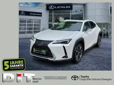 Gebraucht Lexus UX 250h Executive Line 184 PS (135 kW) 2022 Sonic white SUV