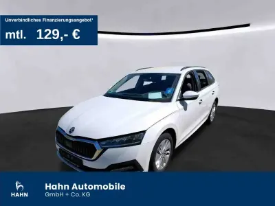 Gebraucht Skoda Octavia Ambition 116 PS (85 kW) 2023 Candyweiss Kombi