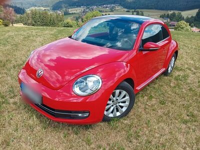 gebraucht VW Beetle 1.2 TSI -