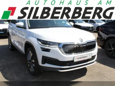 Gebraucht Skoda Kodiaq Ambition 150 PS (110 kW) 2023 Moonweiß perleffekt SUV