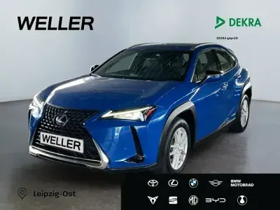 Gebraucht Lexus UX 250h