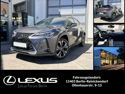 Gebraucht Lexus UX 250h
