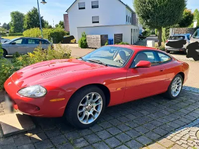 Gebraucht Jaguar XKR 362 PS (266 kW) 1998 Rot Coupé