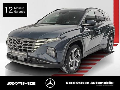 Teal blue / met Gebraucht 2023 Hyundai Tucson Prime SUV | 33.990 € (Teuer)