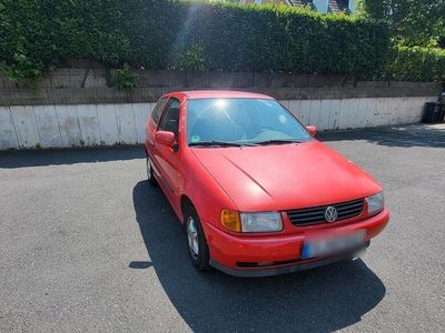 VW Polo