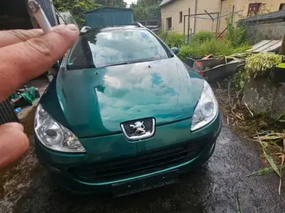 Gebraucht Peugeot 407 110 PS (80 kW) 2005 Grün Kombi
