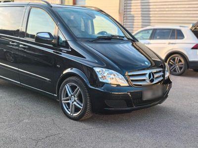 Mercedes Viano