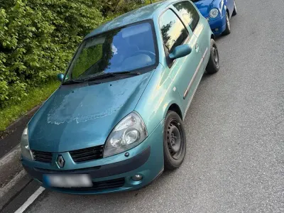 Brugt Renault Clio II