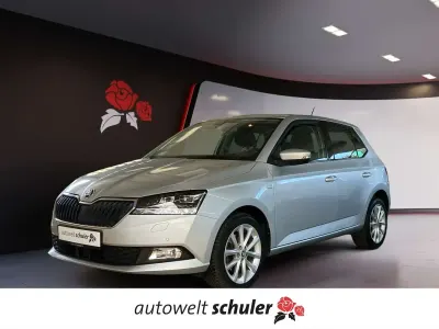 Gebraucht Skoda Fabia Soleil 110 PS (80 kW) 2019 Brillantsilber metallic Kleinwagen