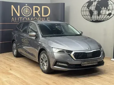 Gebraucht Skoda Octavia Ambition 116 PS (85 kW) 2023 Grau Kombi