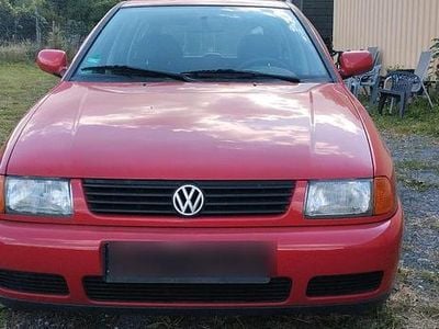 VW Polo
