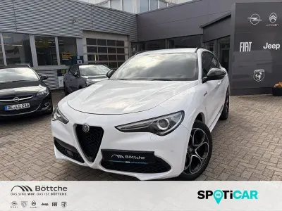 Gebraucht Alfa Romeo Stelvio 209 PS (153 kW) 2021 Colore esterno (bianco alfa, uni) SUV
