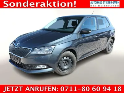 Gebraucht Skoda 110 R