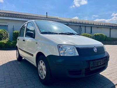 Usata Fiat Panda Active 54 CV (39 kW) 2009 Bianco Utilitaria