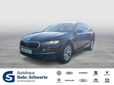 Gebraucht Skoda Octavia Selection 150 PS (110 kW) 2024 Blackmagic perleffekt Kombi