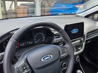 Used Ford Fiesta Active 86 HP (63 kW) 2019 Red Hatchback
