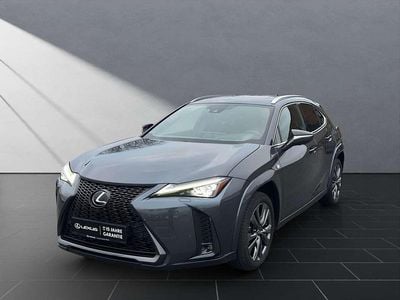 Gebraucht Lexus UX 250h Sport Line 184 PS (135 kW) 2023 Grau SUV