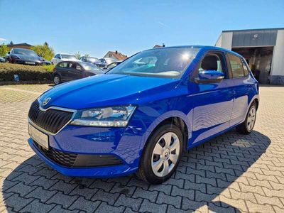 gebraucht Skoda Fabia 1.0 TSI Ambition Automatik/Klimaautomatik