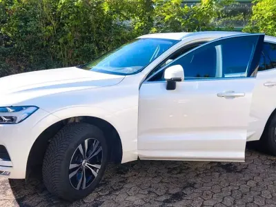 Gebraucht Volvo XC60 Momentum 150 PS (110 kW) 2019 Weiß SUV