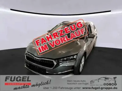 Gebraucht Skoda Octavia 150 PS (110 kW) 2024 Grau Kombi