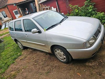 VW Polo