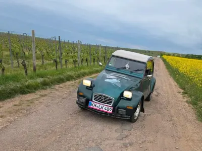 Gebraucht Citroën 2CV 1984 Grün Limousine