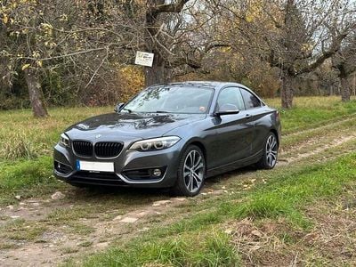 Grau Gebraucht 2019 BMW 218 Sport Line Coupé | 20.190 € (Fairer Preis)