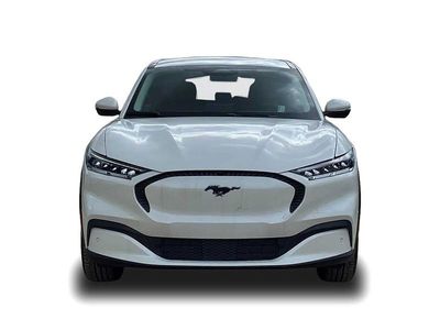 Gebraucht Ford Mustang Mach-E Basis 197 kW (269 PS) 2023 Weiss SUV