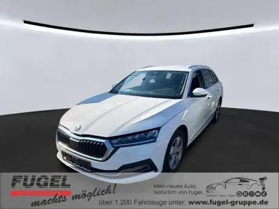 Gebraucht Skoda Octavia Style 150 PS (110 kW) 2024 Candyweiss Kombi
