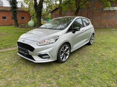 Gebraucht Ford Fiesta ST-Line 125 PS (91 kW) 2019 Polarsilber metallic Kleinwagen