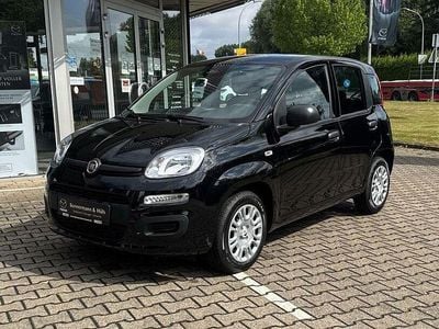 Neu Fiat Panda 69 PS (50 kW) 2025 Cinema schwarz Kleinwagen