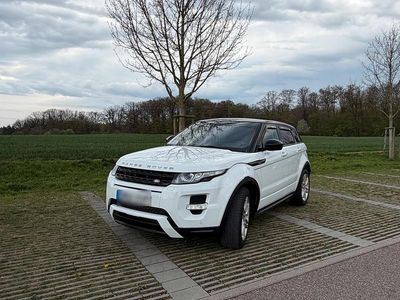 Gebraucht Land Rover Range Rover evoque 150 PS (110 kW) 2014 Weiß SUV