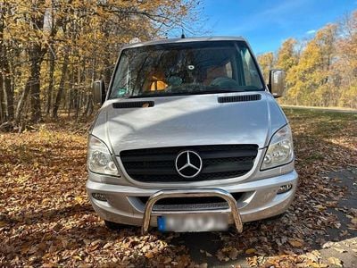 Silber Gebraucht 2009 Mercedes Sprinter Van | 19.200 €
