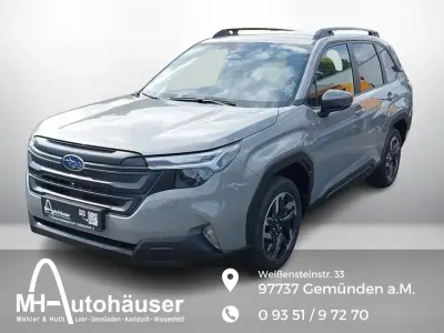 Gebraucht Subaru Forester