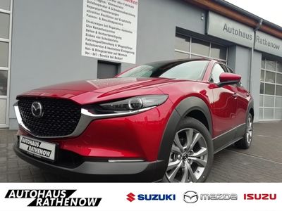 gebraucht Mazda CX-30 Selection Automatik Design& Premium 2.0 SKYACTIV-X M Hybrid EU6d Allwetter