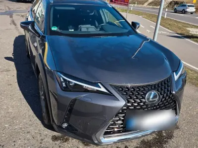 Gebraucht Lexus UX 250h