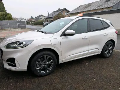 Gebraucht Ford Kuga ST-Line 224 PS (164 kW) 2021 Weiß SUV