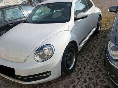 VW Beetle