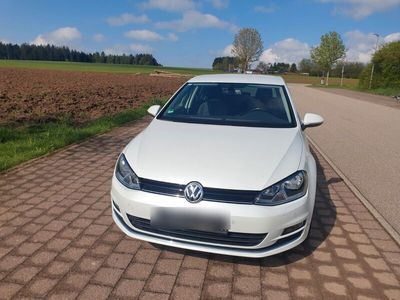 gebraucht VW Golf 1.6 TDI 4MOTION BMT ALLSTAR ALLSTAR